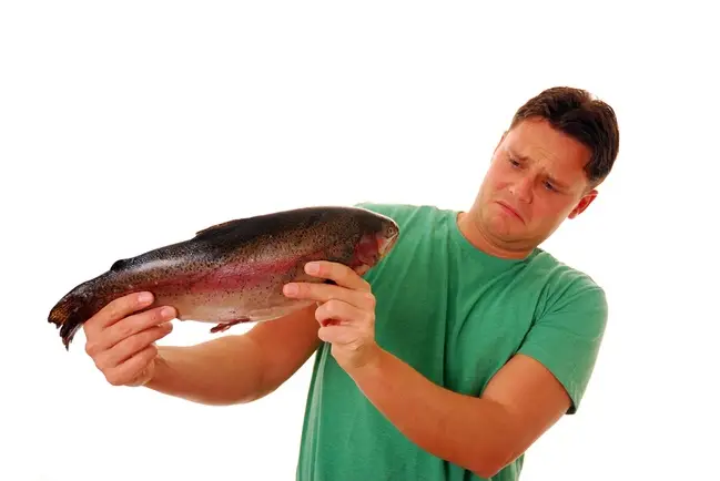 "Man looking at fish with a displeased look"